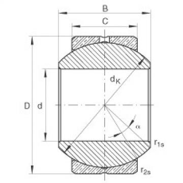 Bearing GE10-PB INA