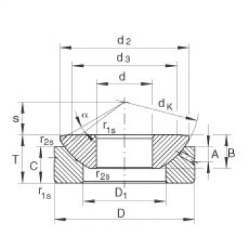 Bearing GE40-AX INA