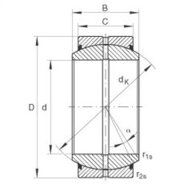 Bearing GE100-DO-2RS INA