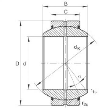 Bearing GE20-FO-2RS INA