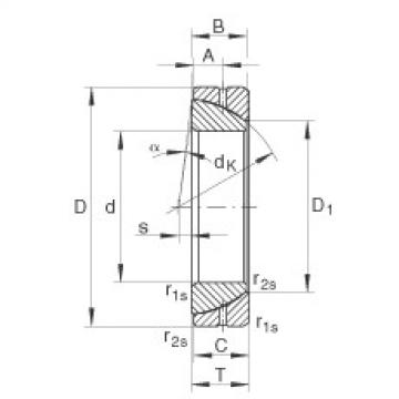 Bearing GE100-SX INA