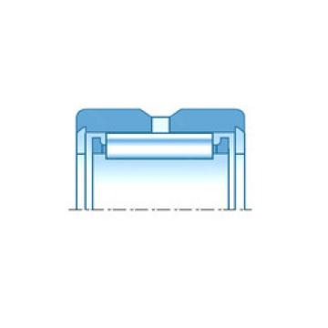 Bearing RNA0-10X22X10X NTN