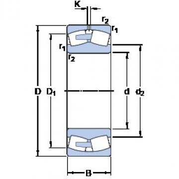 Bearing 248/1320 CAFA/W20 SKF