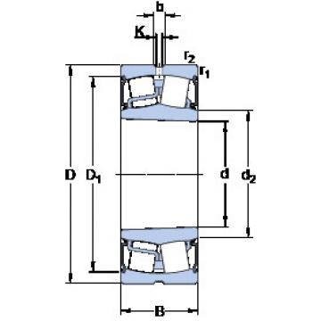 Bearing BS2-2220-2RS5K/VT143 SKF