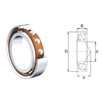 Bearing 7202B-2RS ZEN