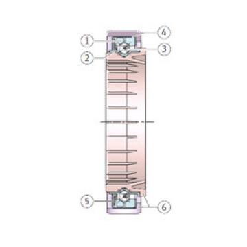 Bearing F-210163.8 INA