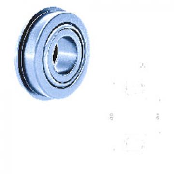 Bearing 11163/11300B Fersa