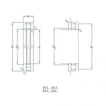 Bearing 81104TN SKF