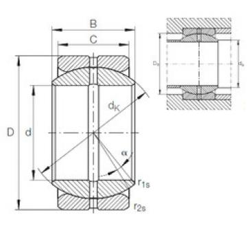 Bearing GE 50 ZO INA