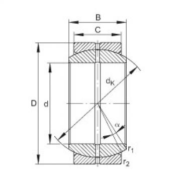 Bearing GE15-DO INA