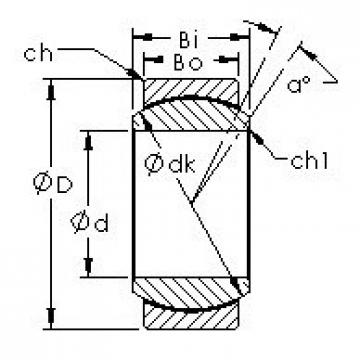 Bearing GE25C AST