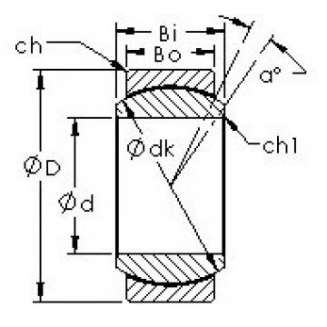 Bearing GEG45N AST