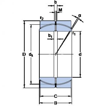 Bearing GEP 140 FS SKF