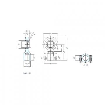 Bearing SIJ 80 ES SKF