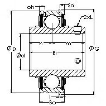 Bearing ER210 AST