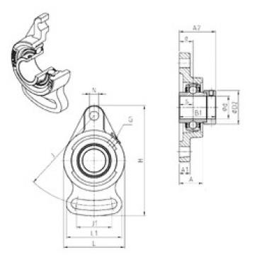 Bearing EXFA203 SNR