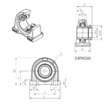 Bearing EXPAE204 SNR