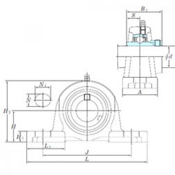 Bearing NAP211 KOYO