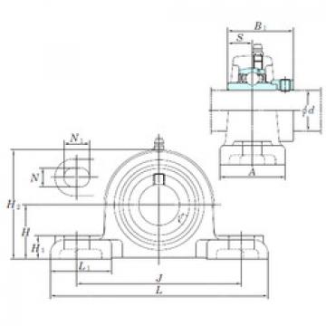 Bearing NAPK206-18 KOYO