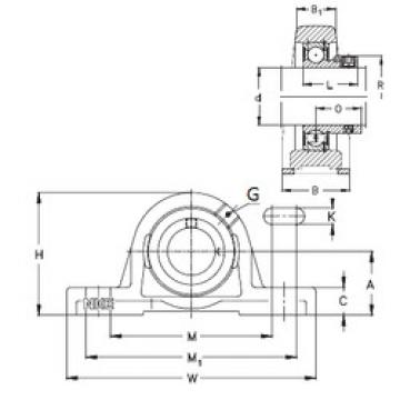 Bearing RASE55 NKE