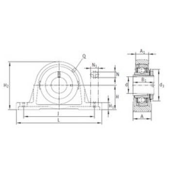 Bearing RASEA50-N INA