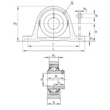 Bearing RASEY2 INA