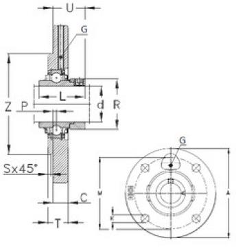 Bearing RMEO100 NKE