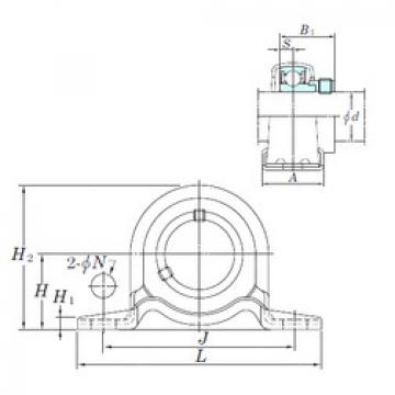 Bearing SAPP206-20 KOYO