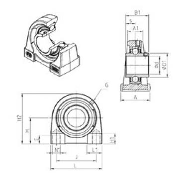 Bearing UCPG201 SNR