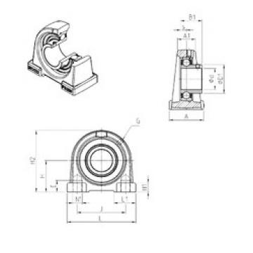 Bearing USPAE202 SNR