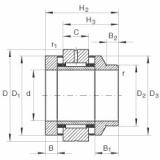 Bearing ZARN2062-L-TV INA