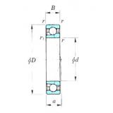 Bearing 7007CPA KOYO