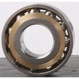 Bearing VEX 45 /NS 7CE3 SNFA